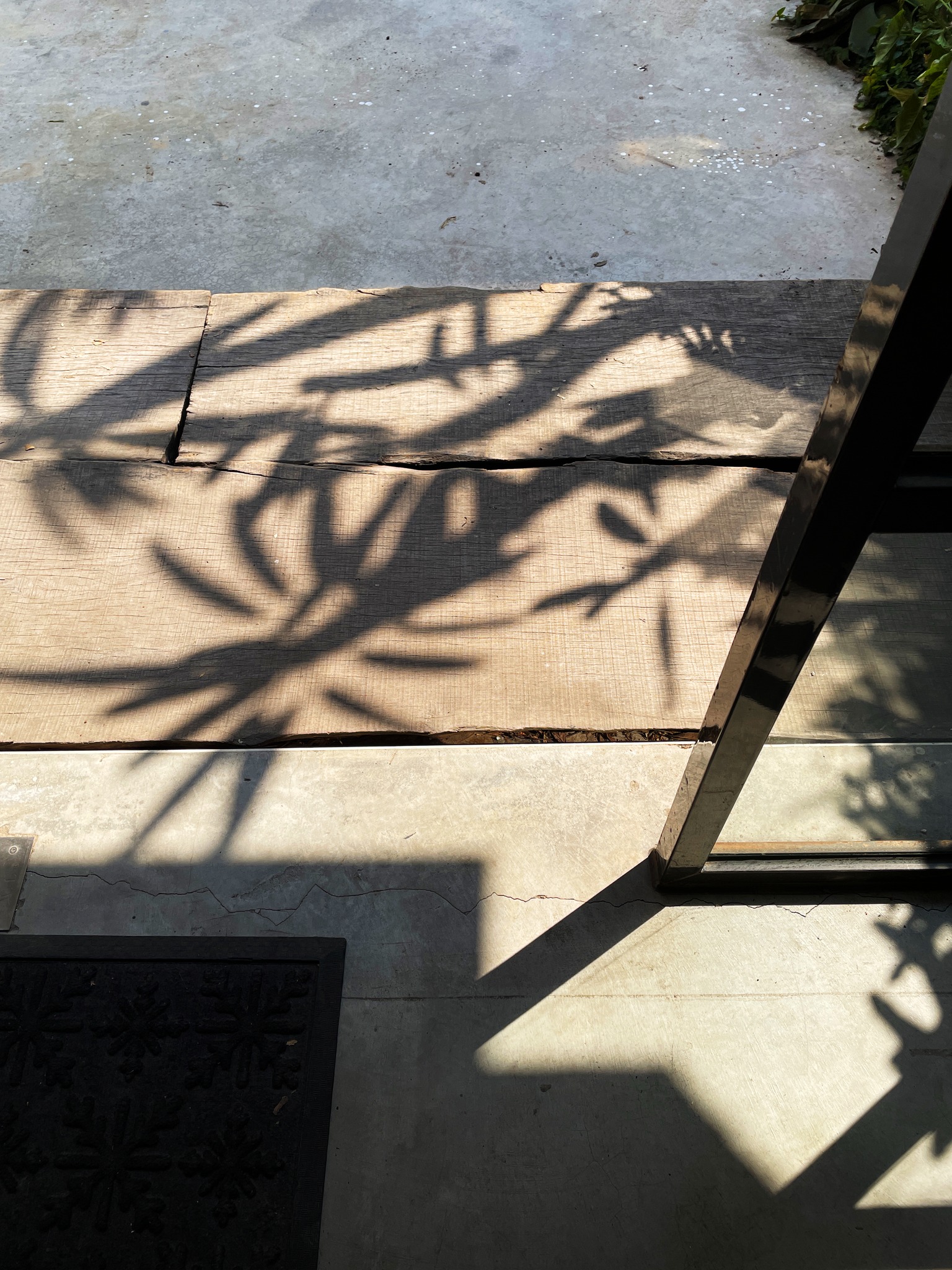 巷子裡的魚 - 今日門口的燦爛陽光😊