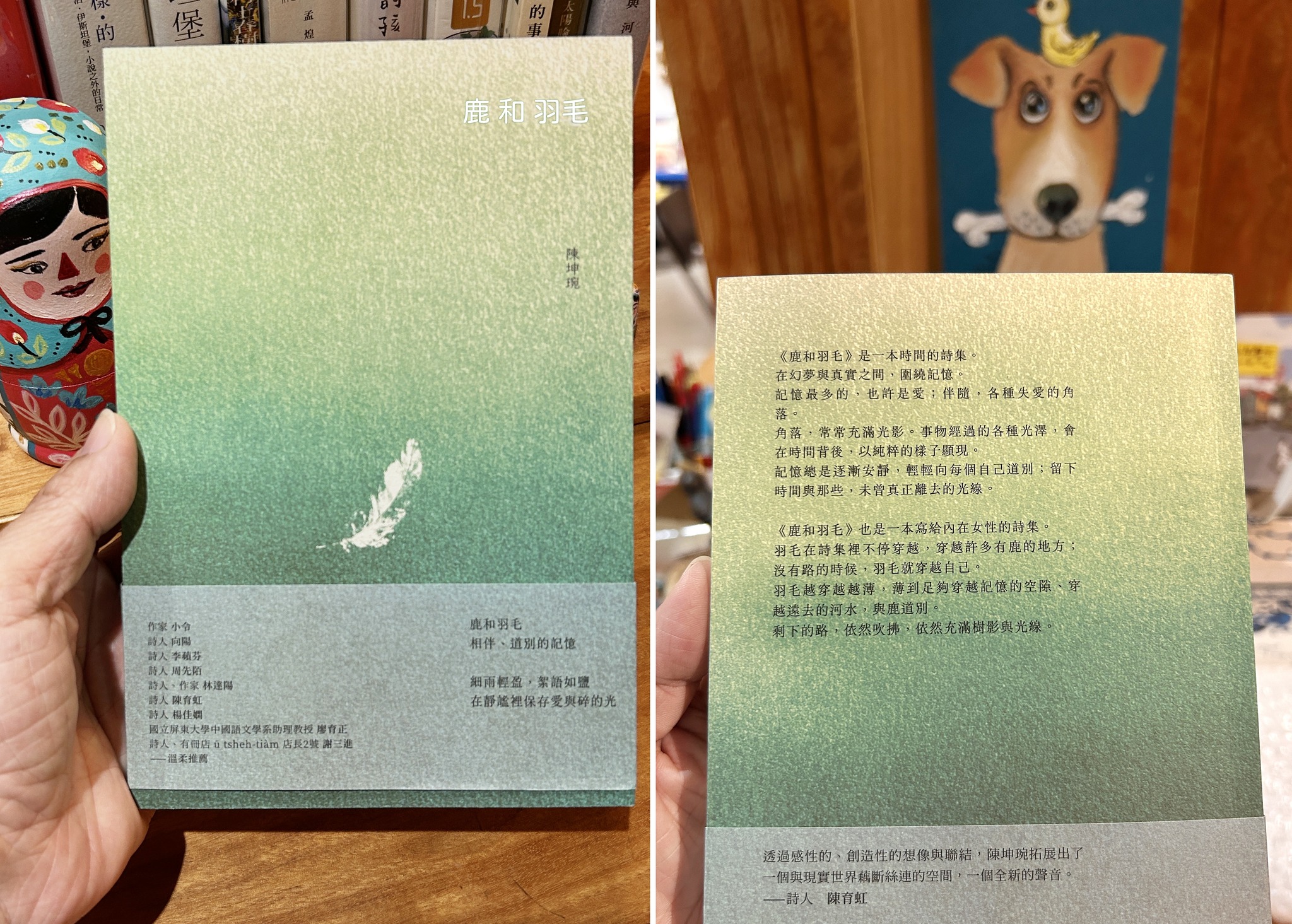 巷子裡的魚 - ❤️很春天色彩的詩集❤️